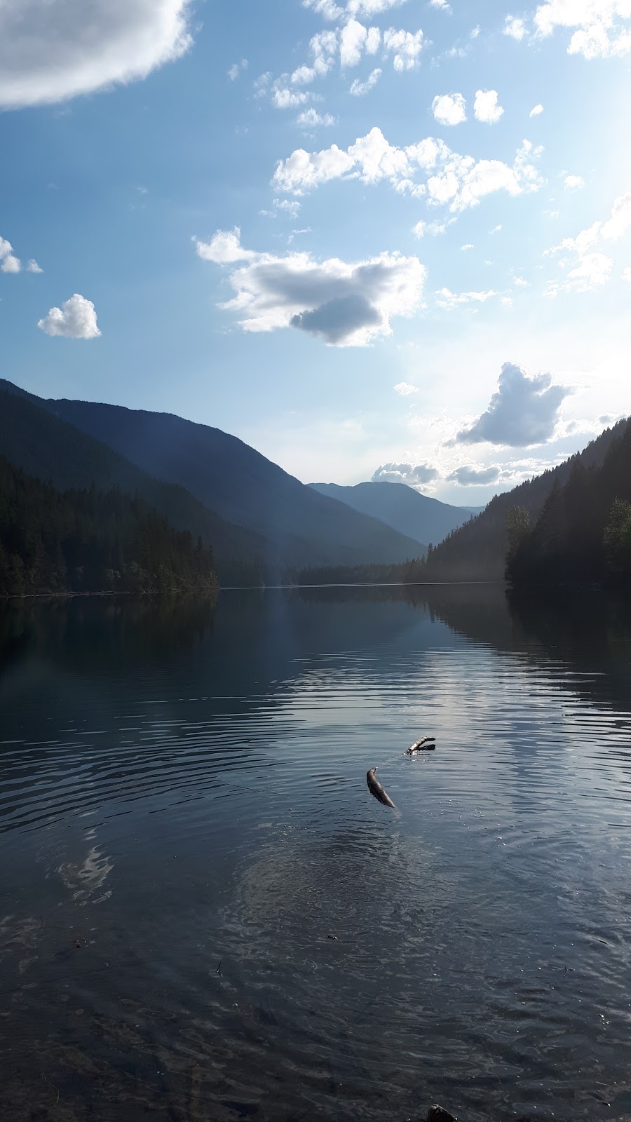 Squakum Campground | park | Nahatlatch Rd, Fraser Valley A, BC V1K 0B2, Canada | 8006899025 OR +1 800-689-9025