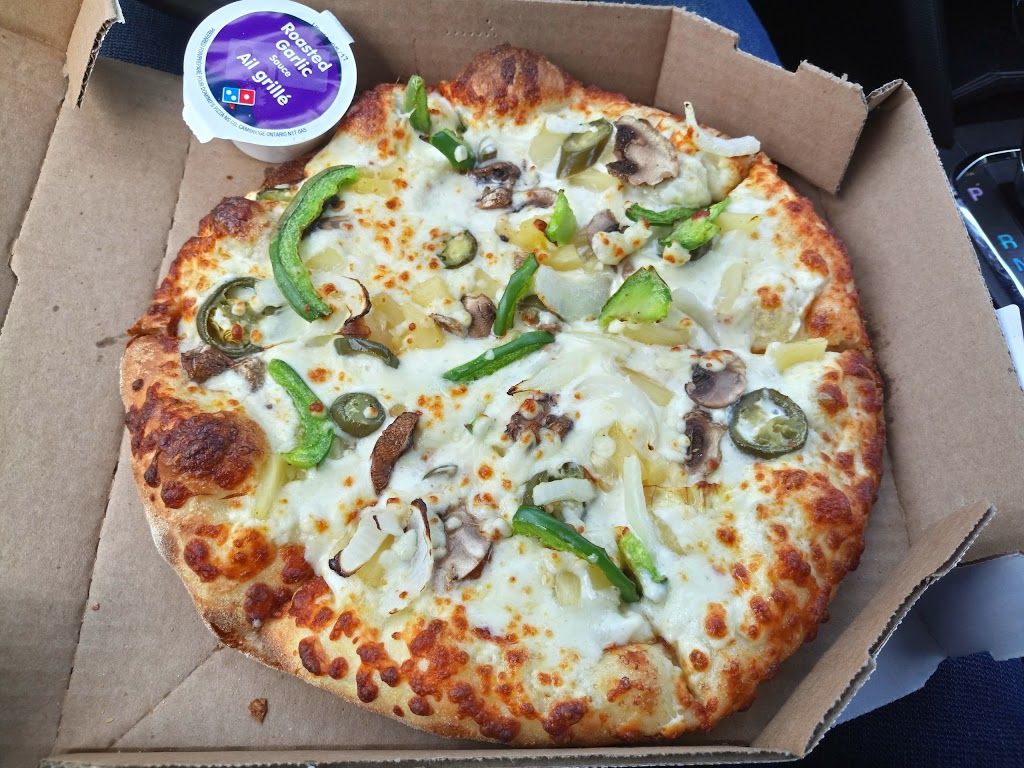 Dominos | 1215 Fanshawe Park Rd W #1, London, ON N6G 0R9, Canada | Phone: (519) 657-1999