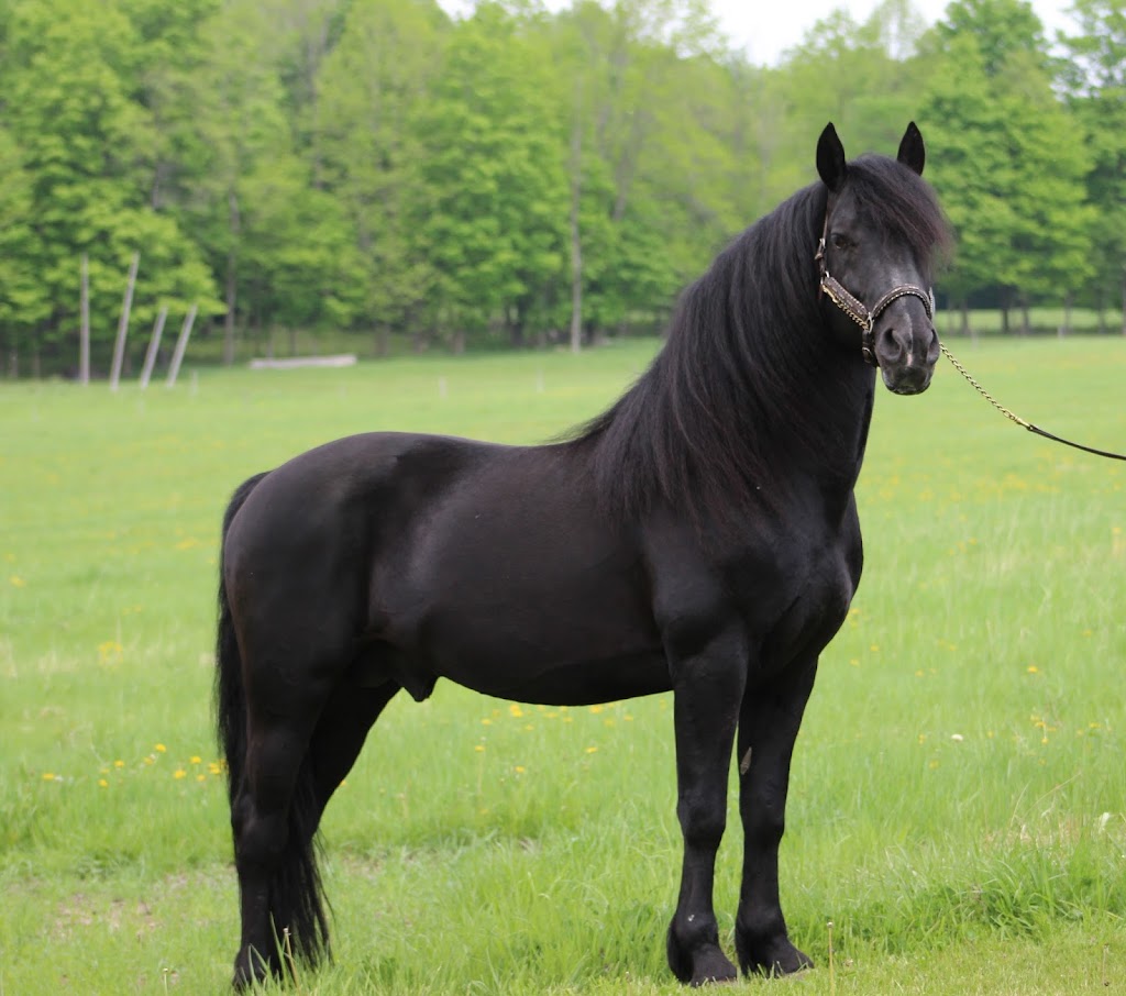 Ferme Litjens | 635 Chem. Pelletier S, Saint-Armand, QC J0J 1T0, Canada | Phone: (450) 248-4199