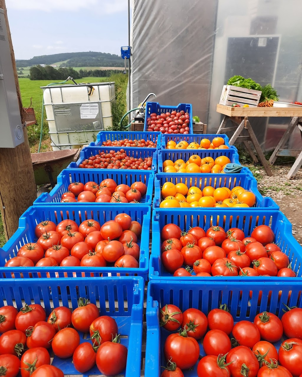 Les Jardins Biorégal Inc. | 504 5e Rang S, East Broughton, QC G0N 1G0, Canada | Phone: (418) 333-3669