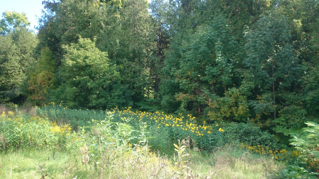 Seaton Hiking Trail | ON-7, Locust Hill, ON L0H 1J0, Canada