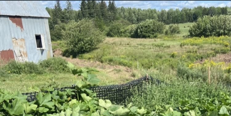 Kavanagh Farm Camping | 2715 NB-134, Shediac, NB E4P 3E6, Canada | Phone: (506) 878-8281