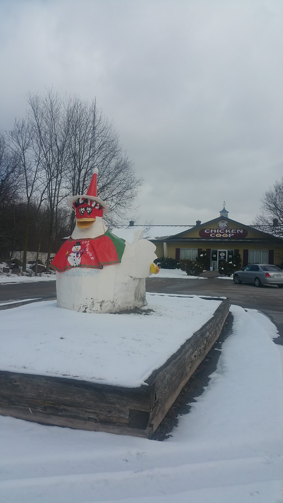 Drain Poultry Farm | 7646 ON-37, Tweed, ON K0K 3J0, Canada | Phone: (613) 478-2828