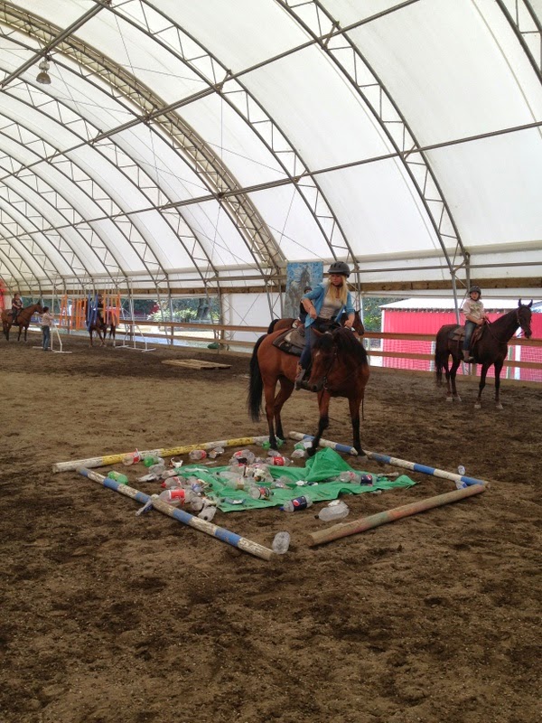 White Dove Stables | 5285 Hopedale Rd, Chilliwack, BC V2R 4P9, Canada | Phone: (604) 832-0189