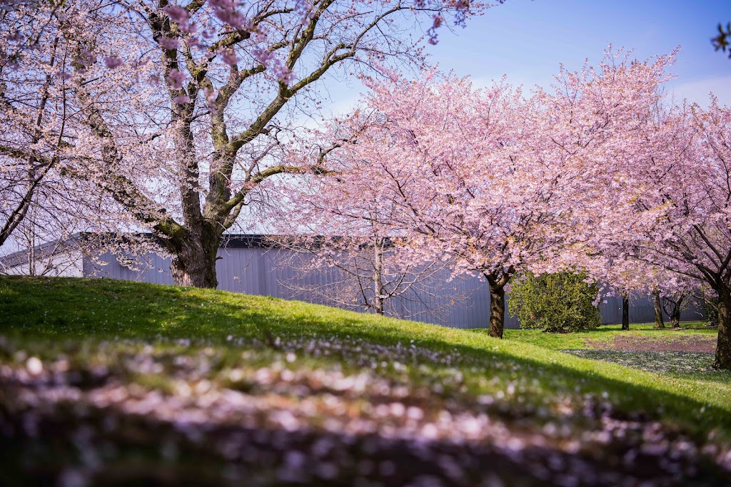 Japanese Canadian Cultural Centre | 6 Garamond Ct, North York, ON M3C 1Z5, Canada | Phone: (416) 441-2345