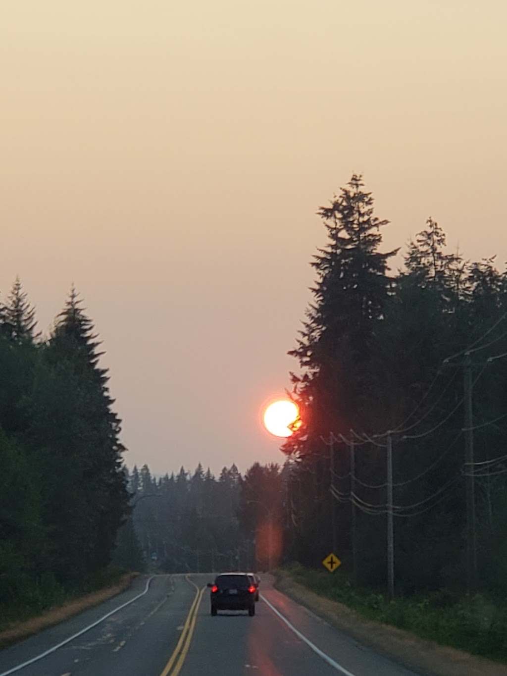 Stoney Bog Farm | 7522 N Island Hwy, Black Creek, BC V9J 1G2, Canada | Phone: (250) 337-1910