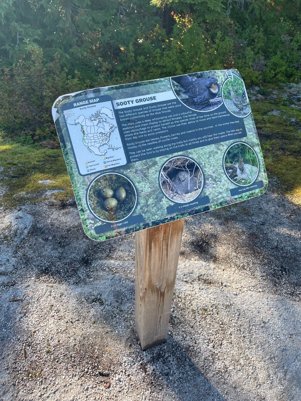 Panorama Trail | Unnamed Road, Britannia Beach, BC V0N 1J0, Canada | Phone: (604) 892-2550