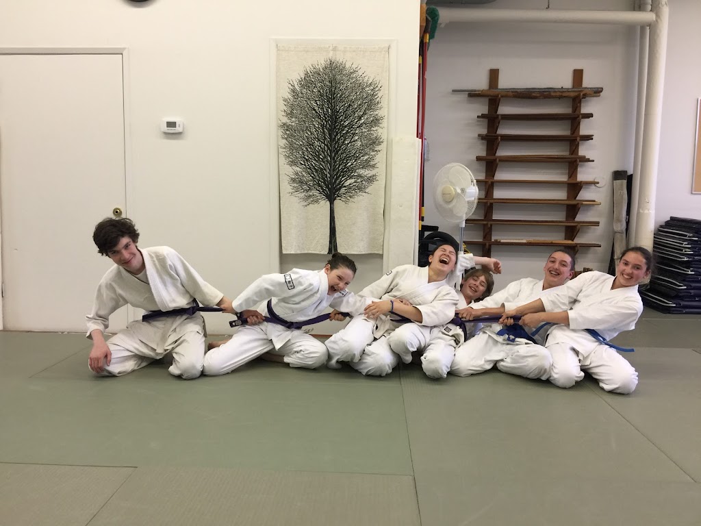 Rock Water Aikikai | 612 David St, Victoria, BC V8T 2E1, Canada | Phone: (250) 216-4325