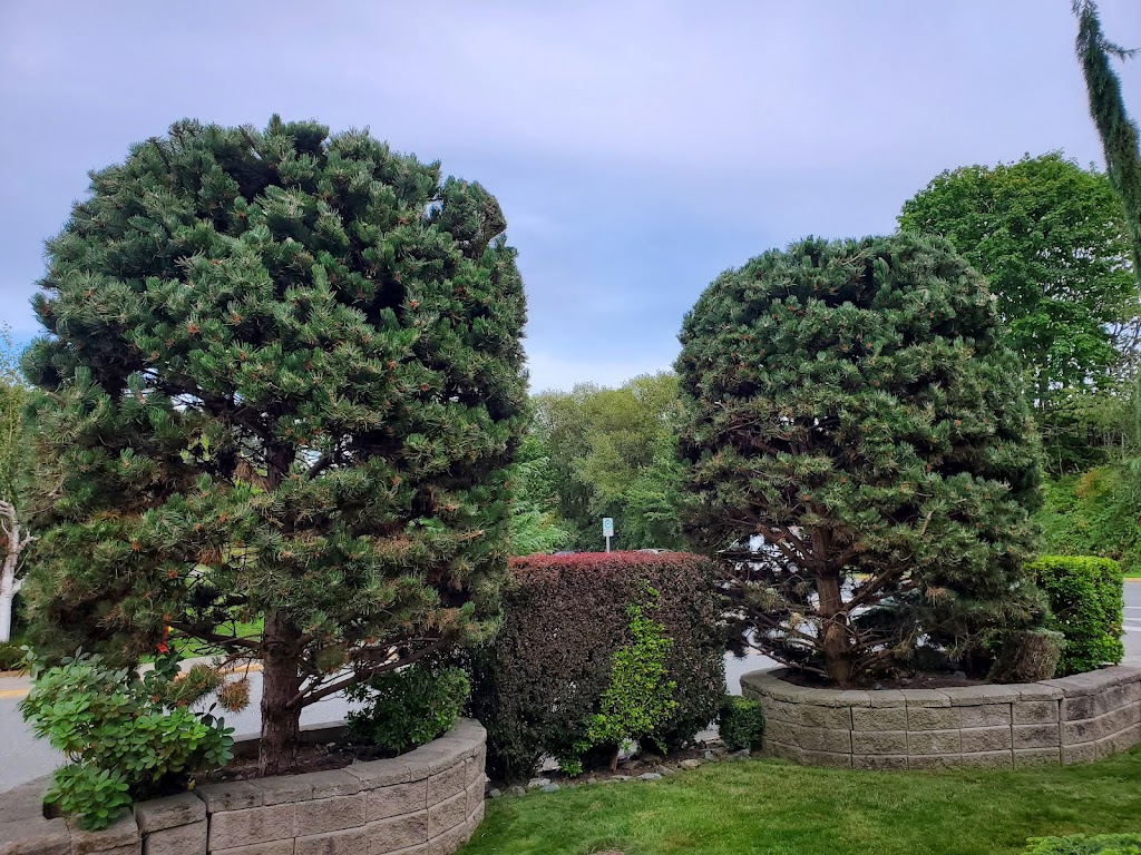 Elevated Tree Service | 681 Seedtree Rd, Sooke, BC V9Z 1C2, Canada | Phone: (778) 400-2072