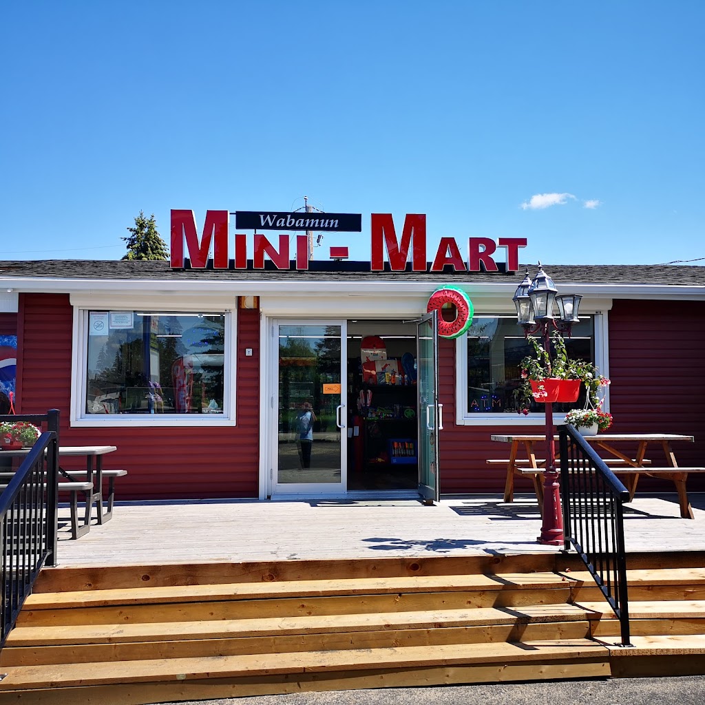 Wabamun Mini Mart | 5129 50 St, Wabamun, AB T0E 2K0, Canada | Phone: (780) 892-2458