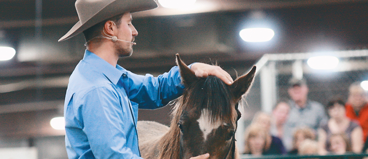 Russ Krachun Kozak Horsemanship | 906 Moneymore Rd, Roslin, ON K0K 2Y0, Canada | Phone: (613) 242-9971