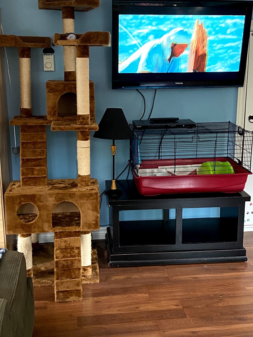 Muskoka’s Critter Sitter | 1042 S Kahshe Lake Rd, Kilworthy, ON P0E 1G0, Canada | Phone: (705) 279-3517