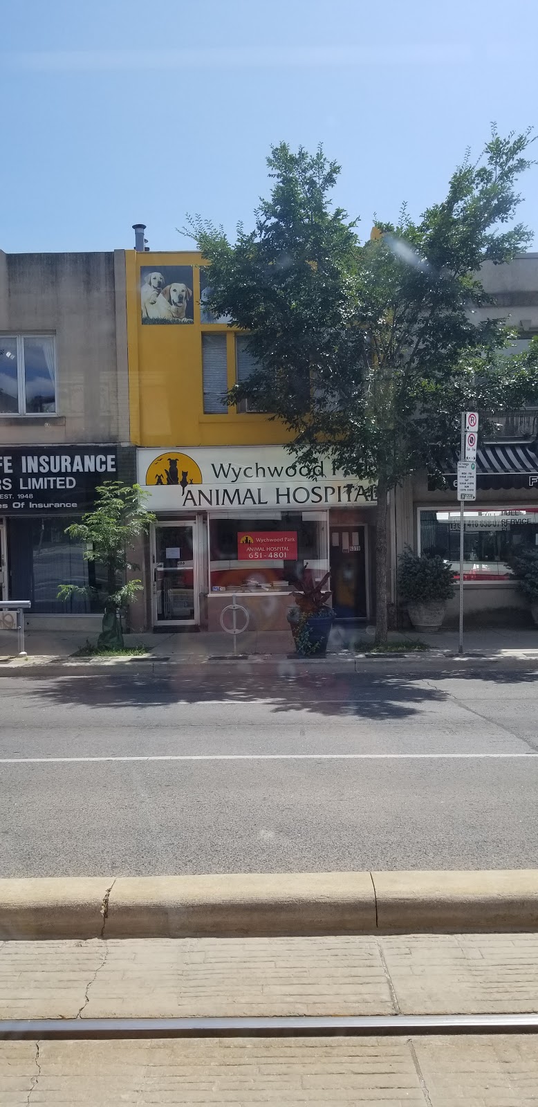Wychwood Park Animal Hospital | 631 St Clair Ave W, Toronto, ON M6C 1A7, Canada | Phone: (416) 651-4801