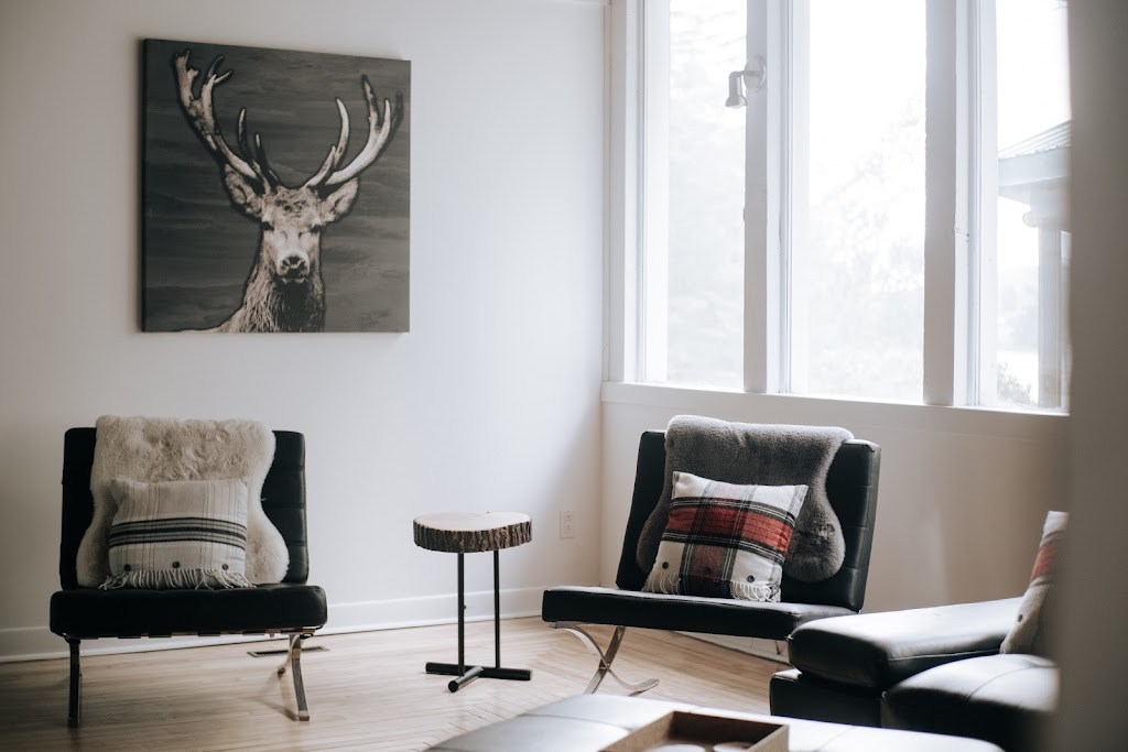 Espace Harfang - Services visuels pour chalets locatifs | 1944 Rue du Skieur, Sainte-Adèle, QC J8B 2Y8, Canada | Phone: (514) 924-5742
