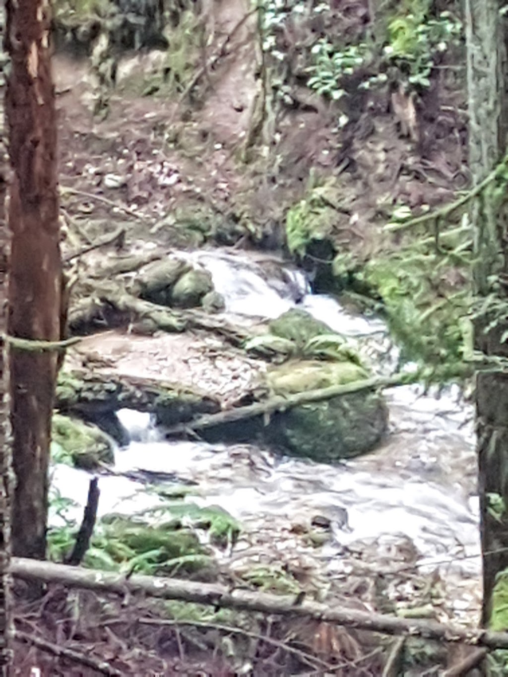 Mount Elphinstone Provincial Park | Crow Road, Roberts Creek, BC V0N 2W1, Canada | Phone: (800) 689-9025