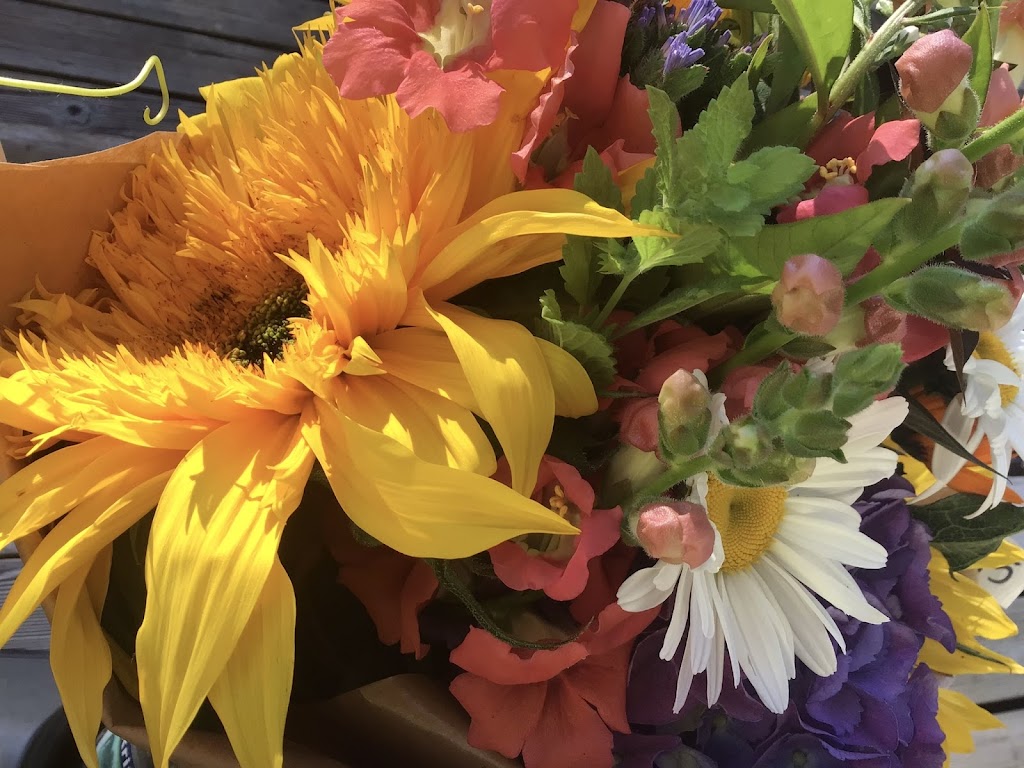 Willanna Farm: Seasonal Bouquets, Christmas Trees and more | 4062 Lefeuvre Rd, Abbotsford, BC V4X 1N8, Canada | Phone: (604) 850-4196