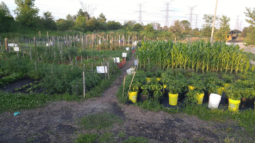 Kirkham Allotment Garden | Kirkham Dr, Markham, ON L3S 0A9, Canada