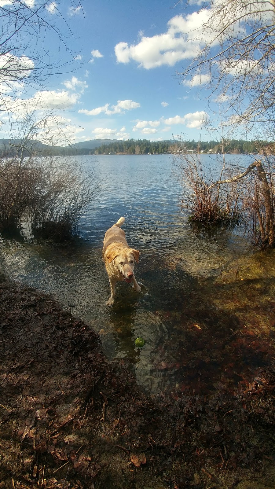 Old Mill Park | 2W2, Recreation Rd, Shawnigan Lake, BC V0R 2W2, Canada | Phone: (250) 746-2620