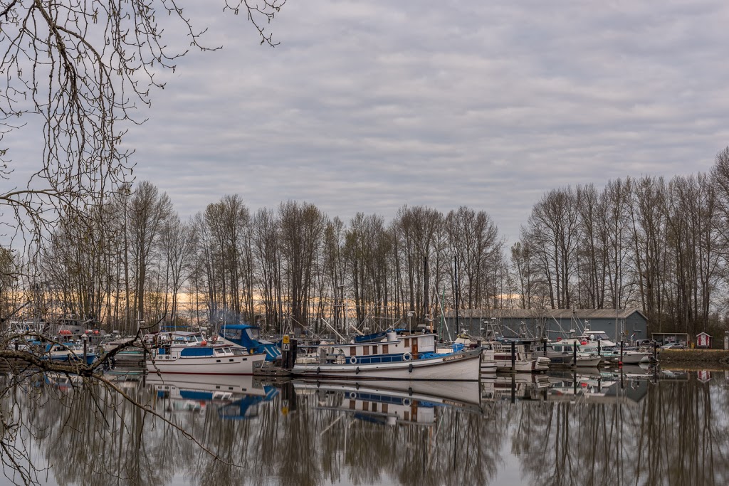 Ladner Harbour Boat Basin | 4850 Mcneelys Way, Delta, BC, Canada