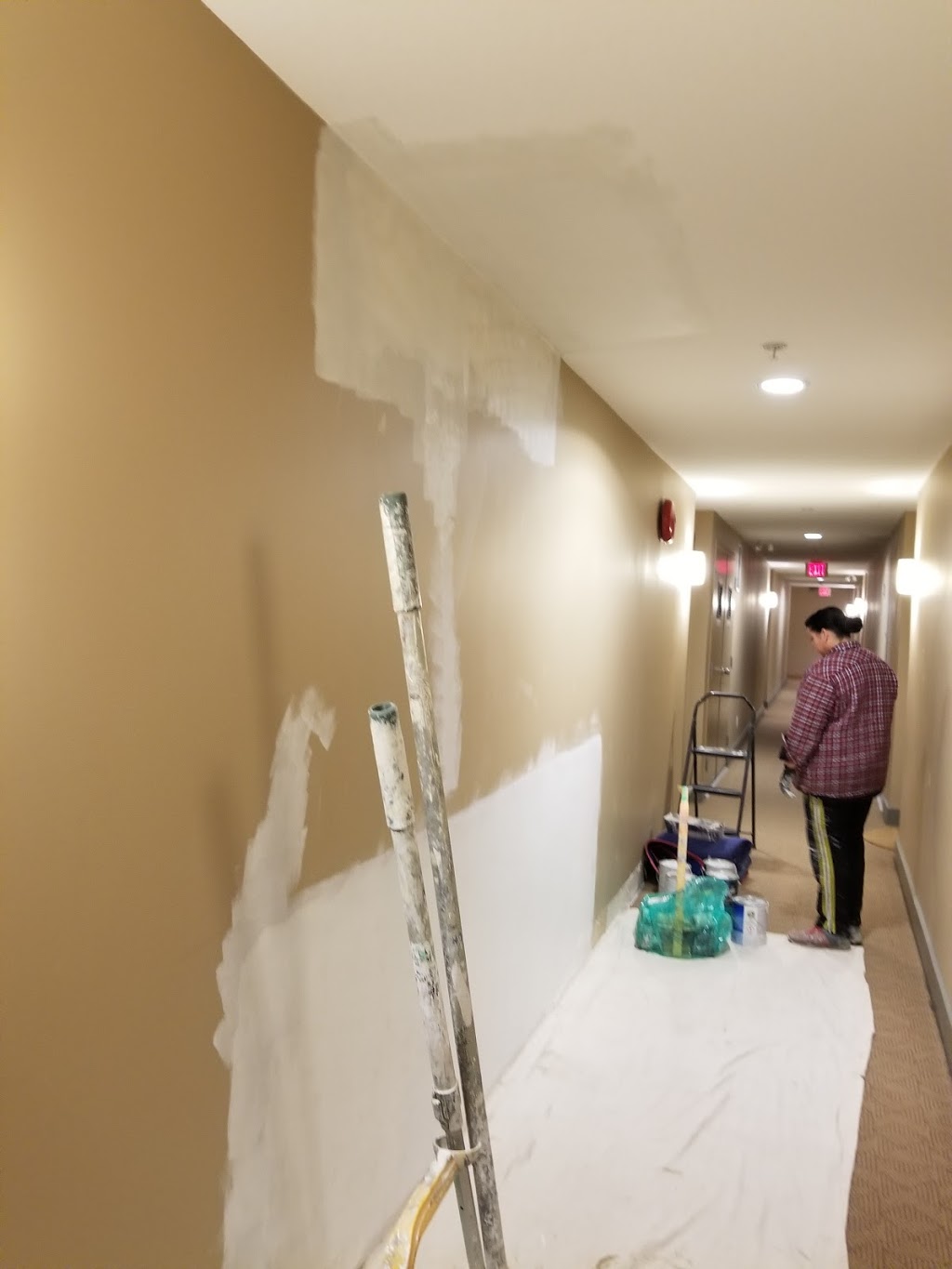 Carmonas painting | 10314 128 St, Surrey, BC V3T 2Z4, Canada | Phone: (778) 858-3091