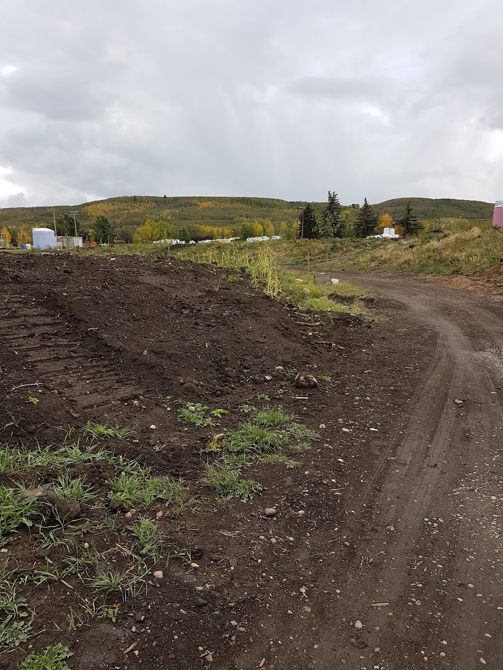 Grow Calgary Farm | Range Rd 293A, Alberta T0M 0E0, Canada | Phone: (403) 383-3420