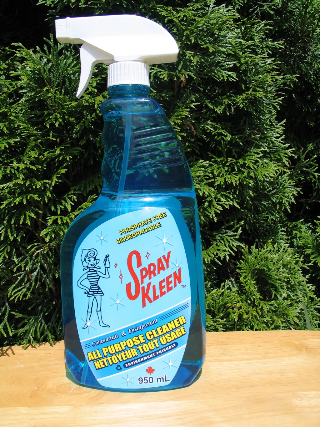 Spray Clean Kleen | 1849 Harbour St, Port Coquitlam, BC V3C 1A4, Canada | Phone: (604) 945-5758