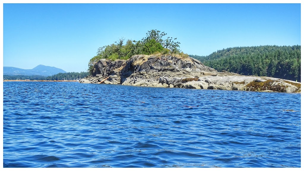Ladysmith Harbour | Ladysmith, BC V9G 1M9, Canada | Phone: (250) 245-4521