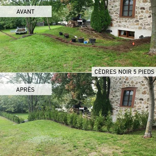 Cèdres Latraverse inc | 1415 Av. de la Chanterelle, Boisbriand, QC J7G 2V6, Canada | Phone: (514) 219-5305