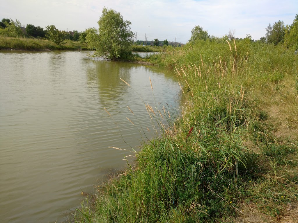 Osprey Marsh | 6076 Osprey Blvd, Mississauga, ON L5N 8K3, Canada