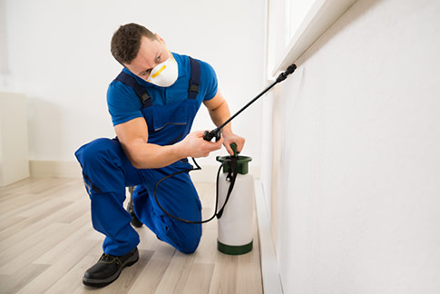 Extermination Laval | 270 Boulevard Saint-Elzéar O, Laval, QC H7L 3P2, Canada | Phone: (514) 536-0179