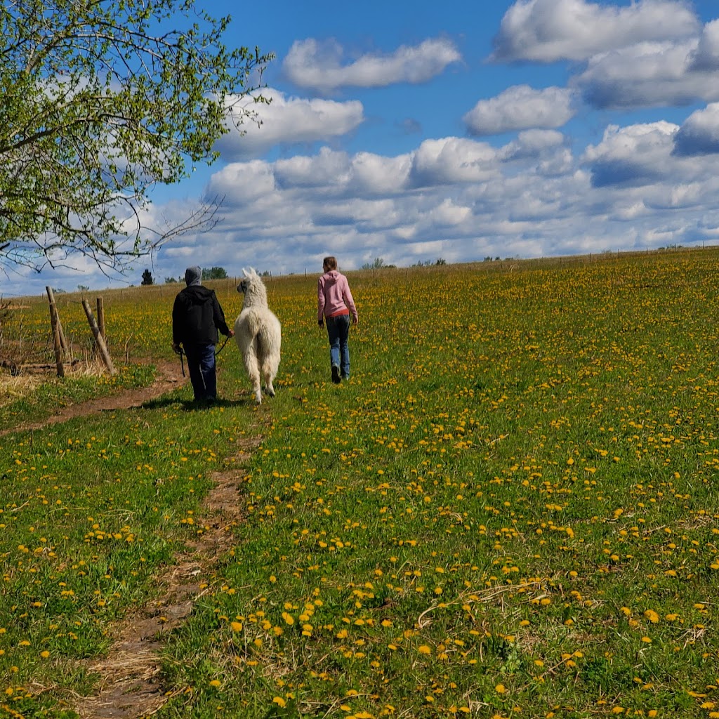 Aspen Ridge Farms | Unnamed Road, Weirdale, SK S0J 2Z0, Canada | Phone: (306) 941-9964