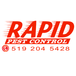 Rapid Pest Control London Onatrio | 606 Blackacres Blvd, London, ON N6G 0H9, Canada | Phone: (519) 204-5428