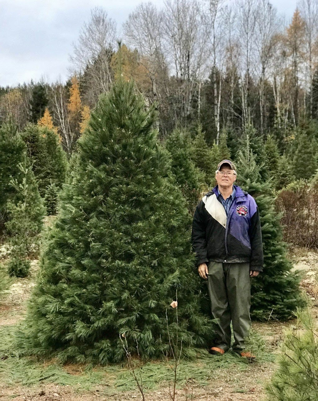 Copeman Tree Farms | 66 Bloomfield Rd, Sundridge, ON P0A 1Z0, Canada | Phone: (705) 492-4950