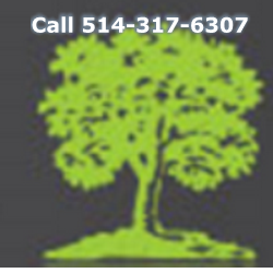 Bois Franc Lavallee - Flooring & Staircases | 16895 Boul Hymus, Kirkland, QC H9H 3L4, Canada | Phone: (514) 317-6307