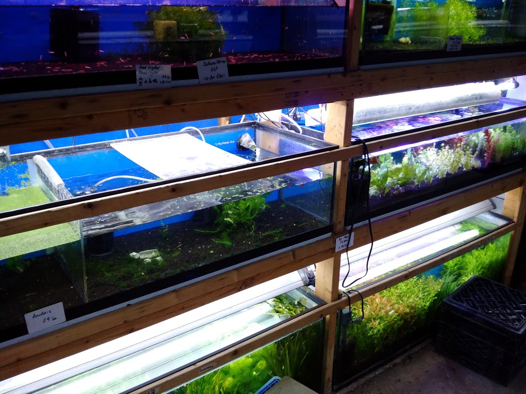 Aquapets | 680 Silver Star Blvd, Scarborough, ON M1V 5N1, Canada | Phone: (416) 292-1688