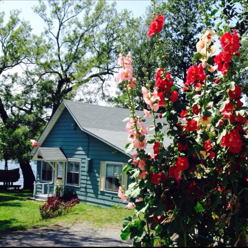 Firefly Folly | 112 McKenzie Ln, Prince Edward, ON K0K, Canada | Phone: (613) 237-2078