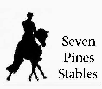 Seven Pines Stables | 1297 Eldon Rd, Kawartha Lakes, ON K0M 2M0, Canada | Phone: (705) 953-9602