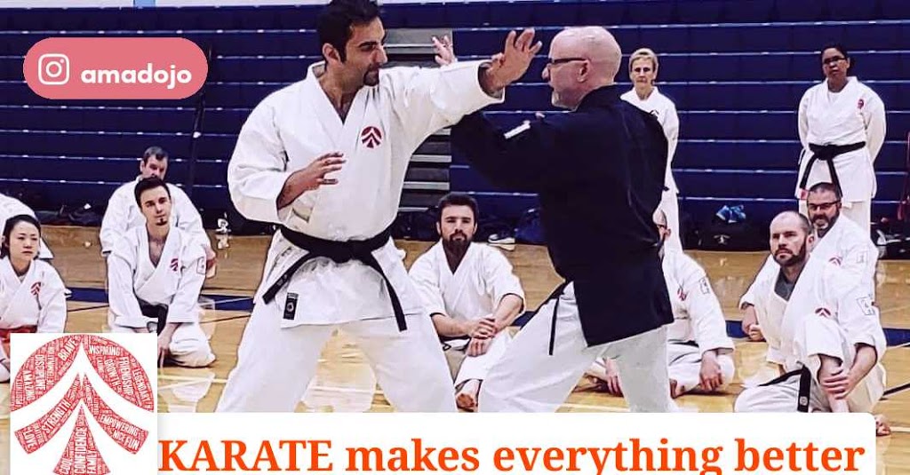 The Brampton Academy Of Martial Arts (AMA) | 13 Fisherman Dr, Brampton, ON L7A 2X9, Canada | Phone: (905) 450-9927