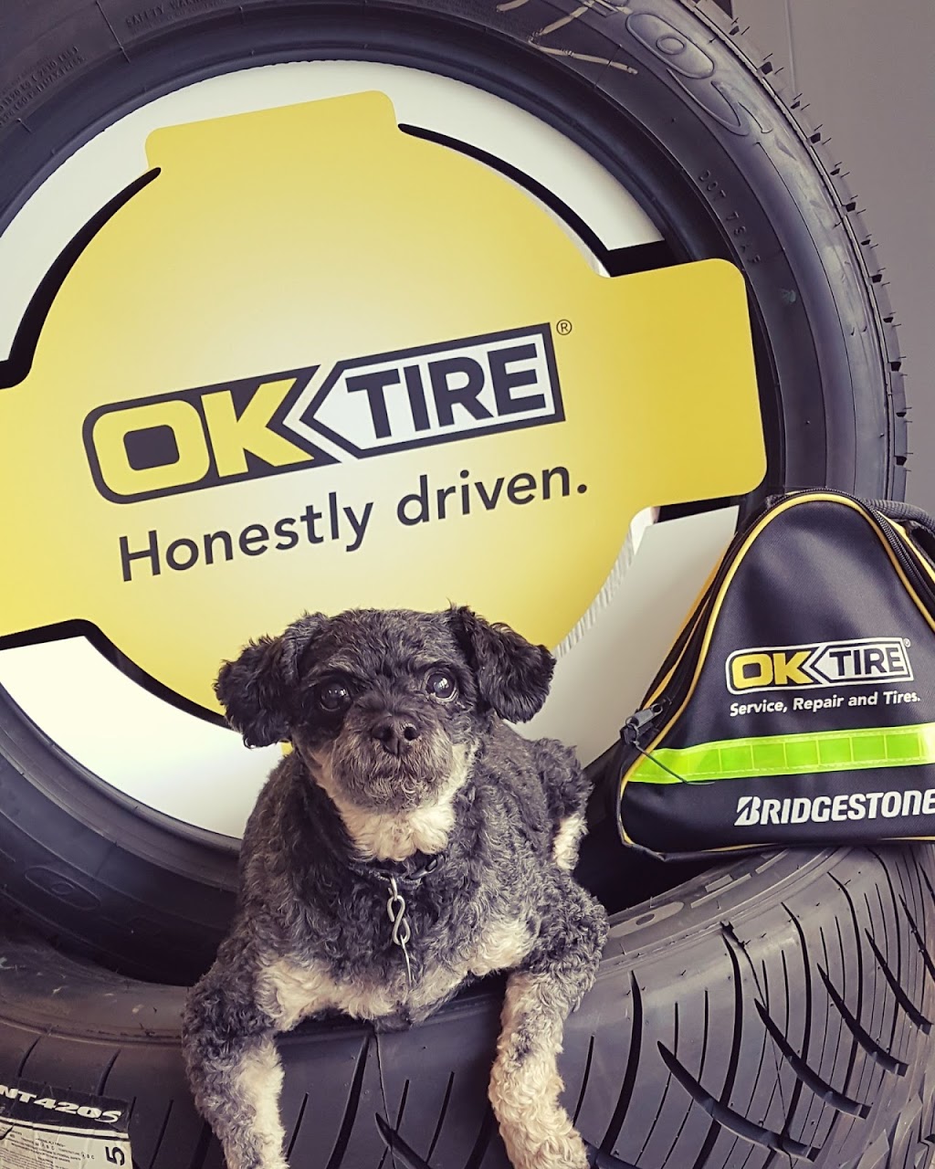 OK Tire | 2001 Portage Ave, Winnipeg, MB R3J 0K2, Canada | Phone: (204) 895-8536