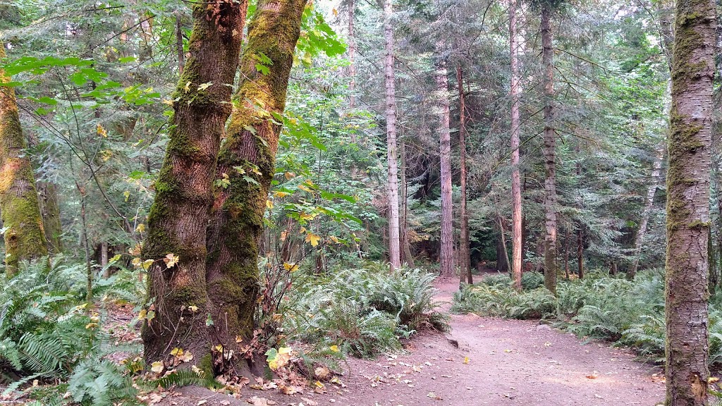 Cable bay trail | 2705 Nicola Rd #2645, Nanaimo, BC V9X 1N4, Canada | Phone: (250) 754-4251