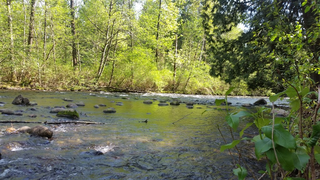Maple Ridge Park | 23200 Fern Crescent, Maple Ridge, BC V4R 2S7, Canada | Phone: (604) 467-7346