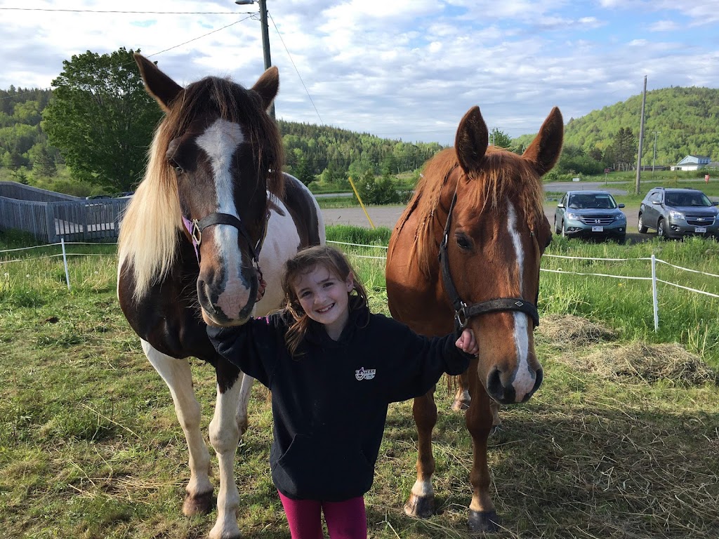 BRUDENELL RIDING STABLES | 235 Brudenell Island Blvd, Cardigan, PE C0A 1G0, Canada | Phone: (902) 652-2396