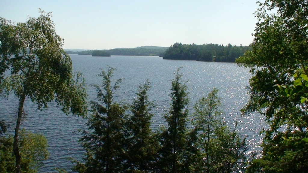 Radka Hnilicova - Real estate sales representative - Your Choice | 1552 Hwy 118 East, Bracebridge, ON P1L 1X1, Canada | Phone: (647) 296-8754