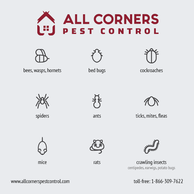 All Corners Pest Control | 175 Queen Victoria Dr #101, Hamilton, ON L8W 1W6, Canada | Phone: (866) 309-7622
