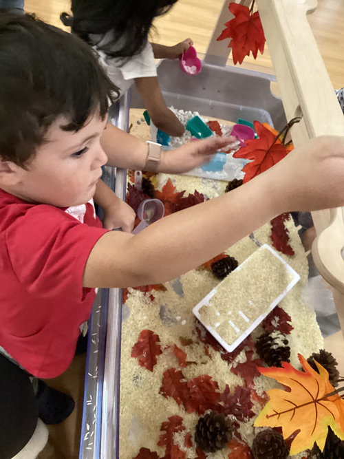 RisingOaks Early Learning | Oak Creek | Tartan Ave., Kitchener, ON N2R 1R7, Canada | Phone: (519) 893-7529
