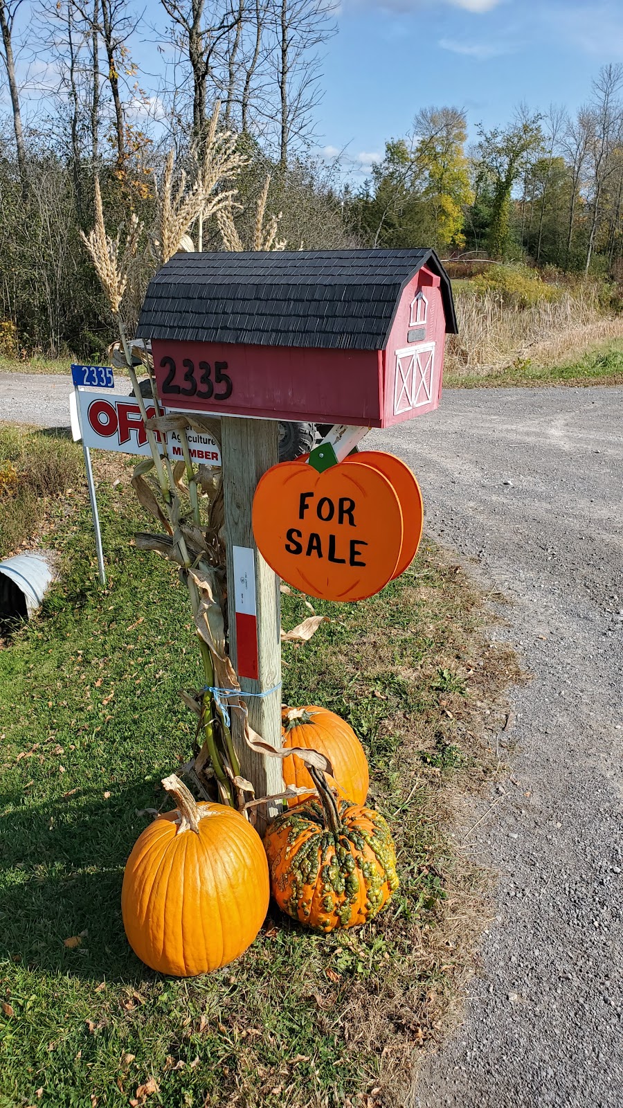 Cedar Patch Farms | 2335 Blessington Rd, Corbyville, ON K0K 1V0, Canada | Phone: (613) 966-4771
