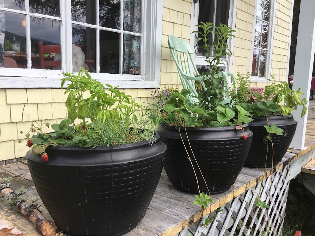 Brigitte Miller Naturopathe | 2722 Av. de la Ronde, Québec, QC G1J 4G7, Canada | Phone: (418) 661-3799