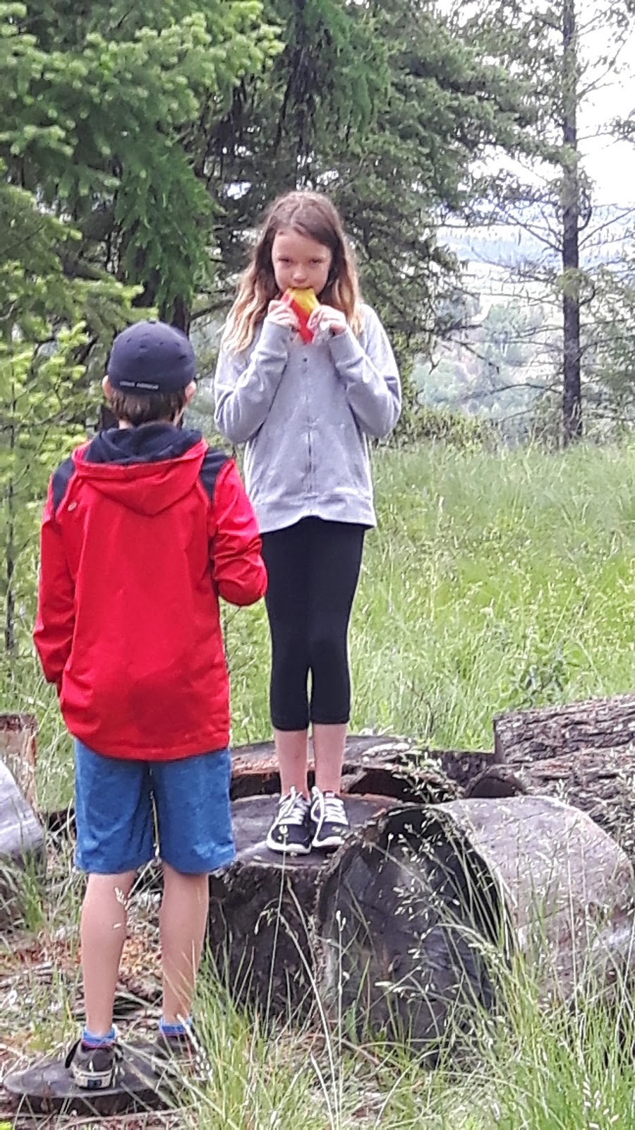 Wycliffe Regional Park | Perry Creek Rd, Cranbrook, BC V1C 7C6, Canada | Phone: (250) 489-2791