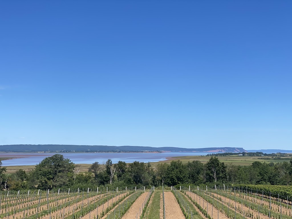 Lightfoot & Wolfville Vineyards | 11143 Evangeline Trail, Wolfville, NS B4P 2R1, Canada | Phone: (902) 542-7774