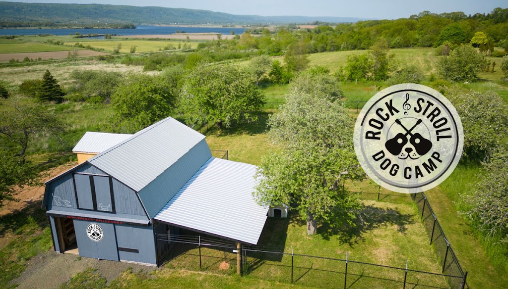 Rock & Stroll Dog Camp | 675 Marsh Rd, Round Hill, NS B0S 1A0, Canada | Phone: (902) 526-2921